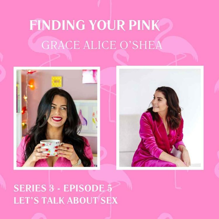 cover art for 🦩Let's Talk About Sex