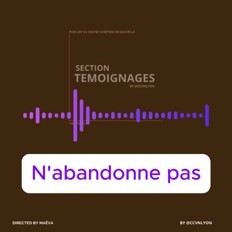 cover art for N'abandonne pas