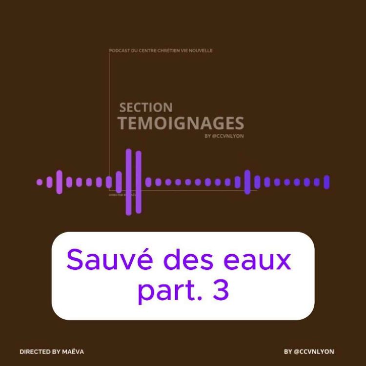 cover art for Sauvé des eaux part.3