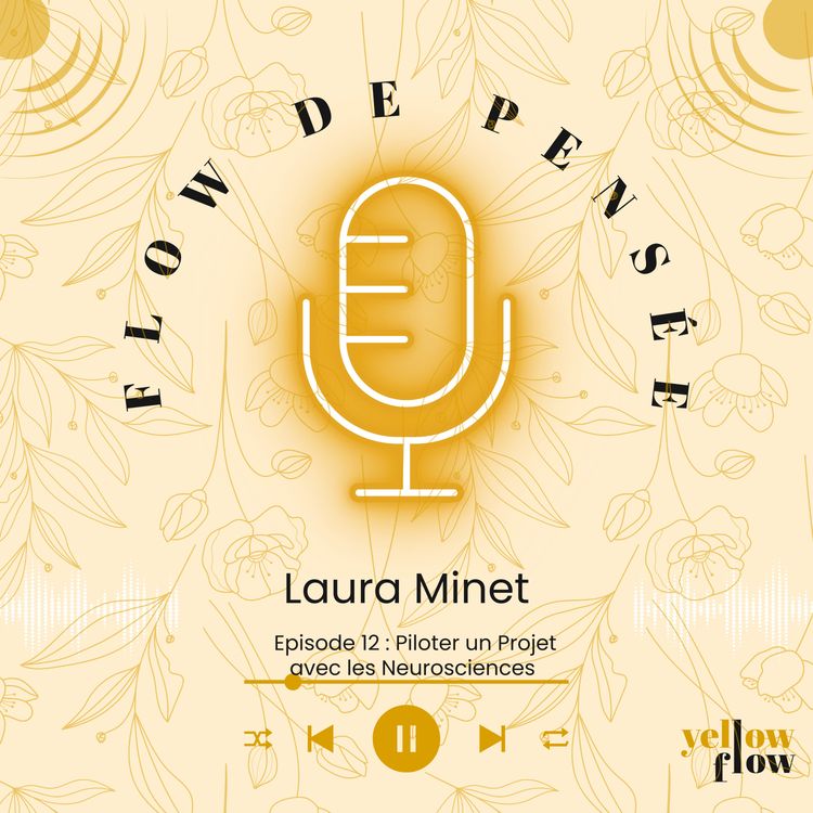 cover art for Flow de Pensée Spécial QVCT 12