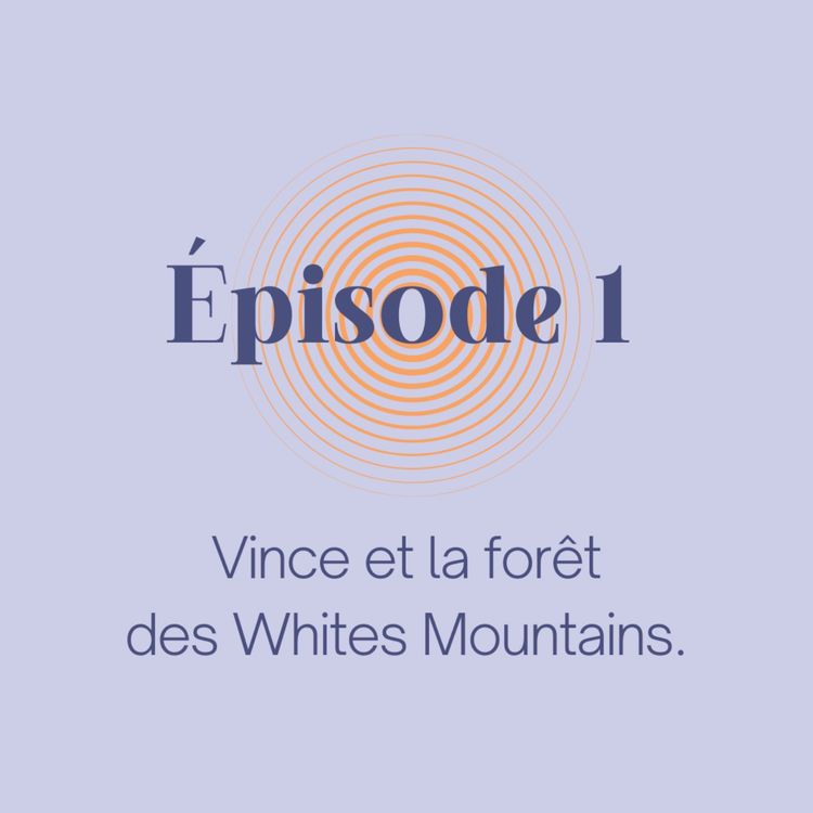 cover art for Vince et la forêt des Whites Mountains