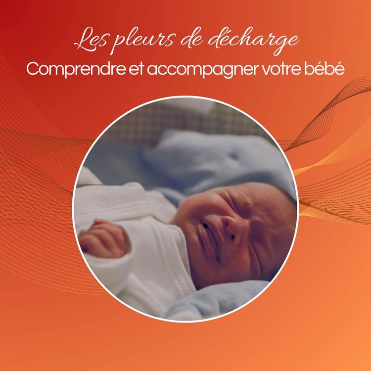 cover art for Les pleurs de décharge