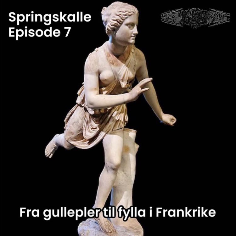 cover art for Fra gullepler til fylla i Frankrike