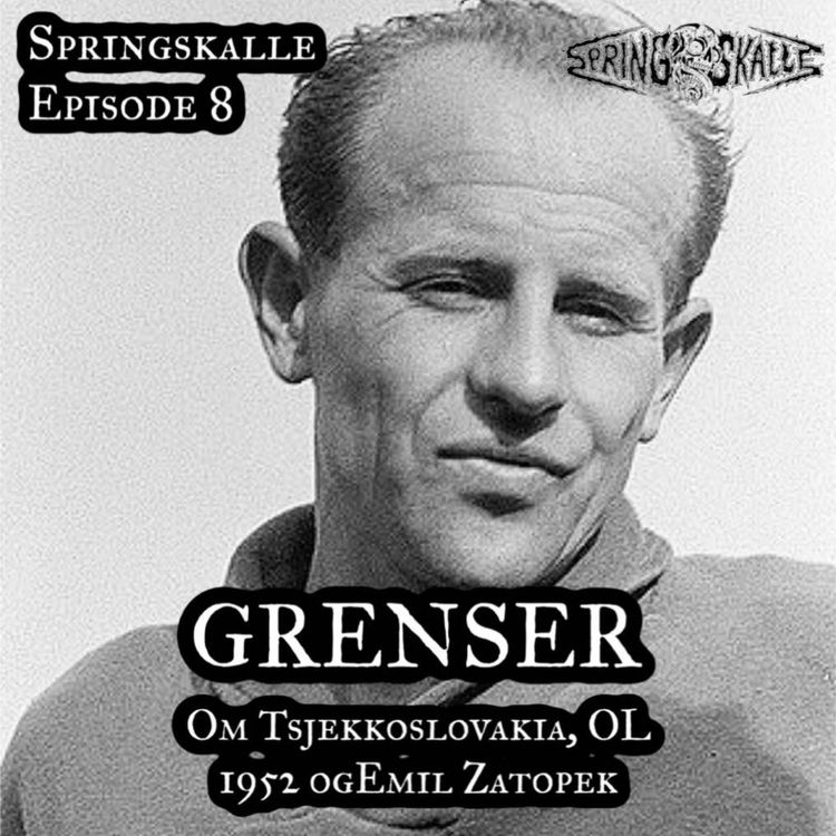 cover art for Grenser