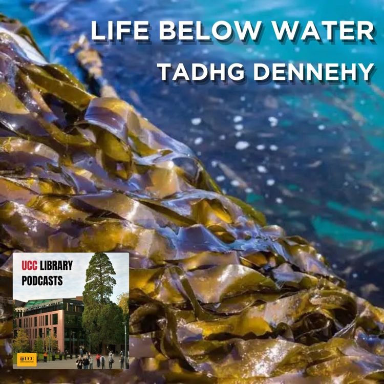 cover art for Life Below Water