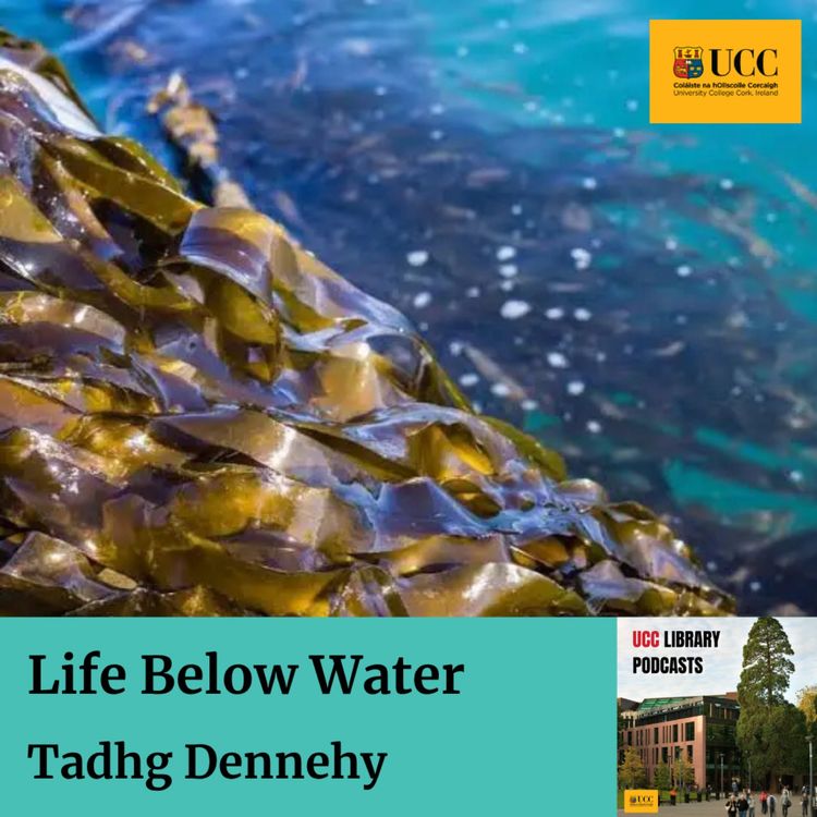cover art for Life Below Water