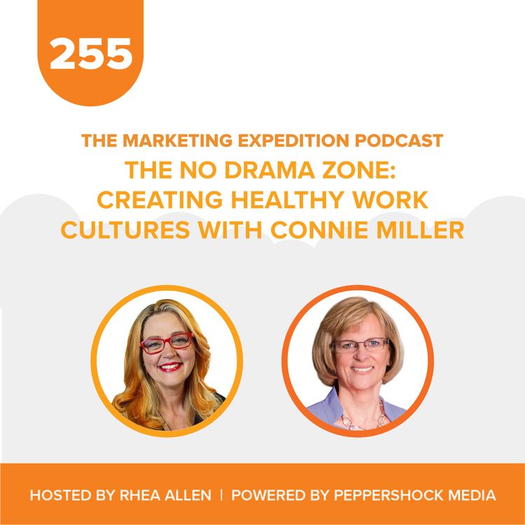 cover art for The No Drama Zone: Creating Healthy Work Cultures with Connie Miller | Marketing Expedition Podcast