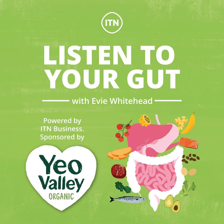 cover art for Listen to Your Gut: Shedding Light on the Dark Matter 