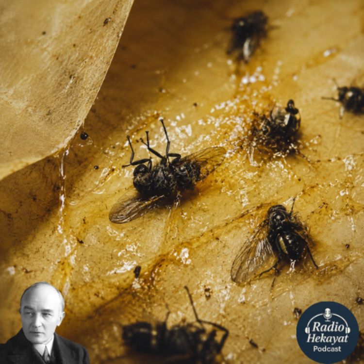 cover art for کاغذ مگس کش - روبرت موزیل