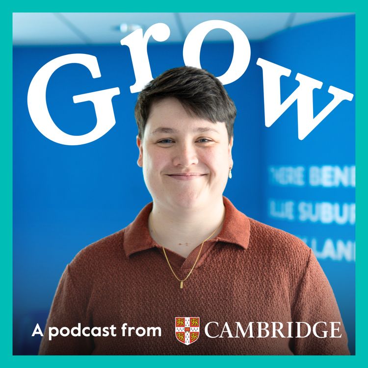 cover art for Resilience, reflection, and the realities of teaching with Laurie Chase – Episode 12