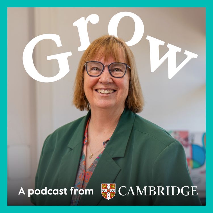 cover art for Unlocking global opportunities for students in need with Anne Niemeijer-Mackie - Episode 9