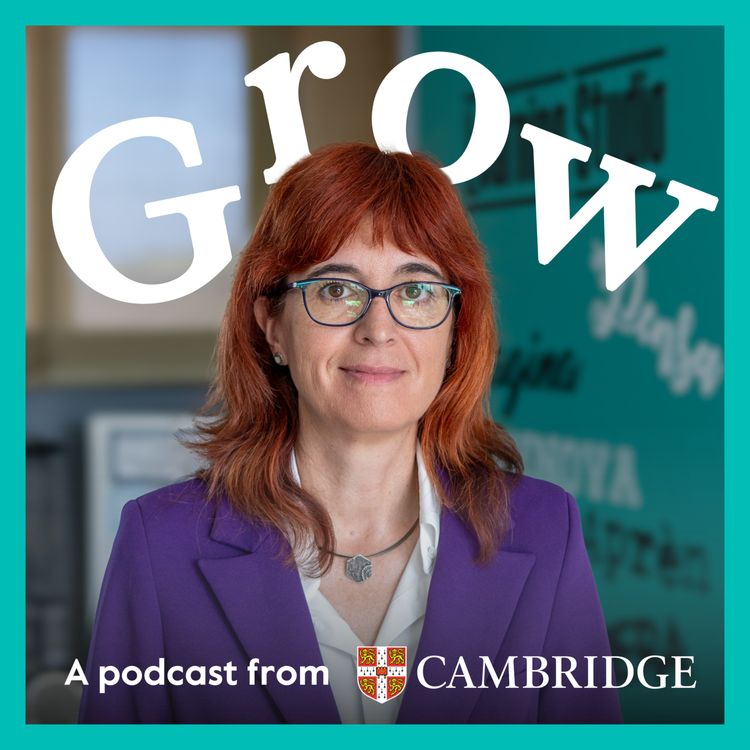 cover art for Using English to unlock new worlds with Cristina Tunica - Episode 7