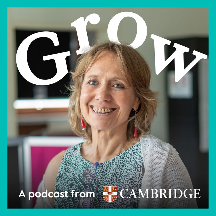 cover art for Creating intercultural understanding with Csilla Ducrocq - Episode 17