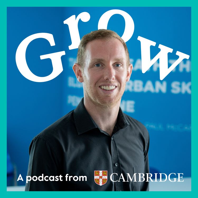 cover art for Teaching English across different learning environments with Peter McMahon – Episode 19