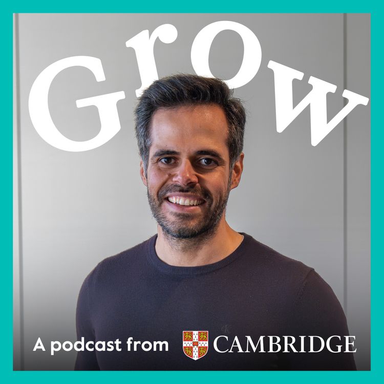 cover art for Bringing the world into the classroom with Marcio Souza - Episode 22