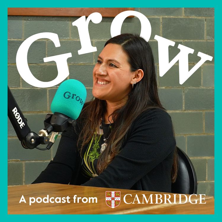 cover art for Building creative English lessons around students’ passions with Lilian Velázquez Salinas - Episode 29