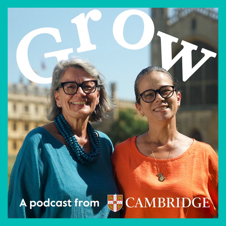 cover art for Teachers ask: AI, mixed-ability classes & multilingual learners - Episode 33