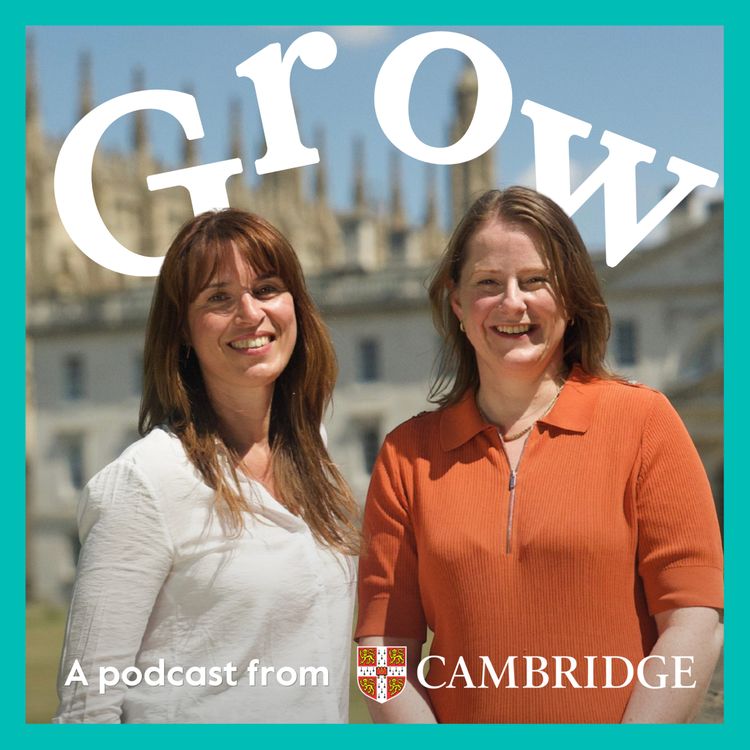 cover art for Teachers ask: burnout, wellbeing and supporting every learner - Episode 34