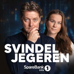 cover art for Svindeljegeren
