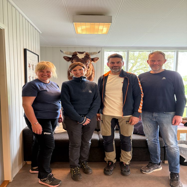 cover art for Sporer i melka?