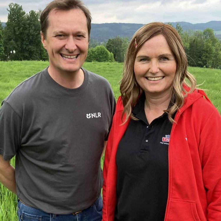 cover art for Samspill mellom NLR og TINE