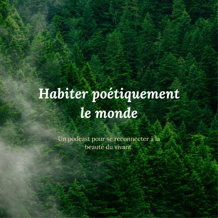 cover art for EP1 - Claude Magne : “Dans la danse, le corps m'apparaît comme réceptif et émetteur du monde”