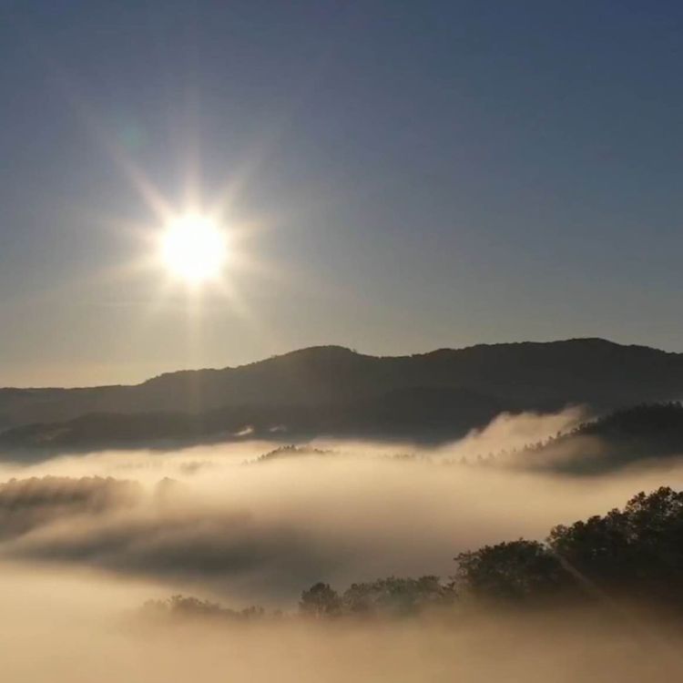 cover art for Moment der Dankbarkeit 