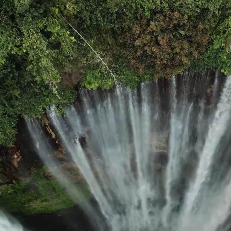 cover art for Die Erdung