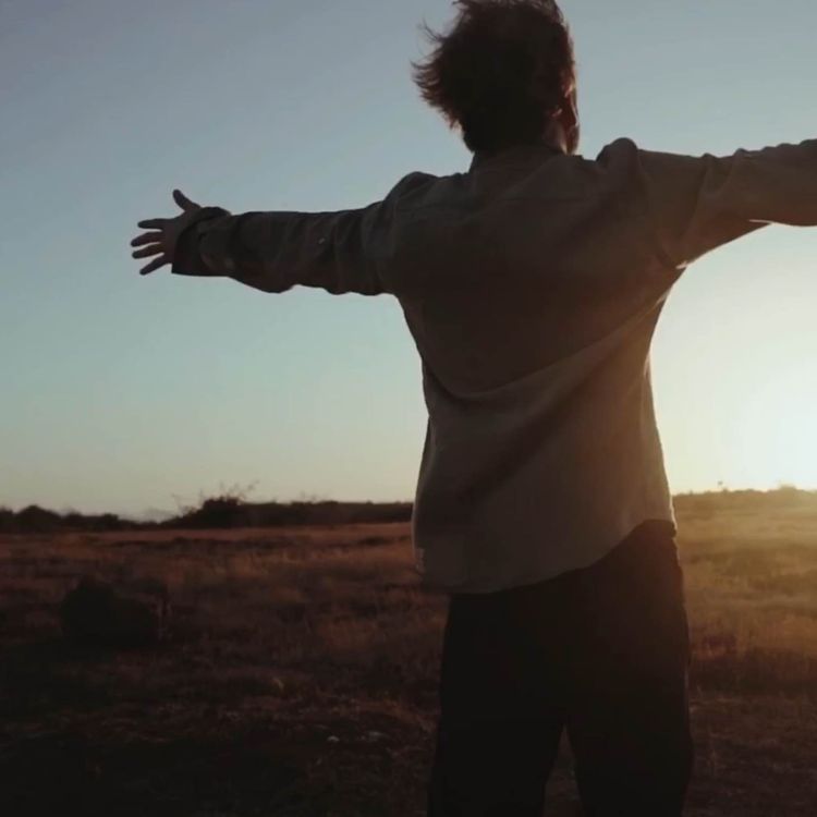 cover art for Die Freude