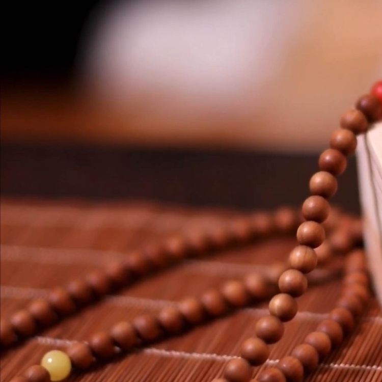 cover art for Die Verbindung