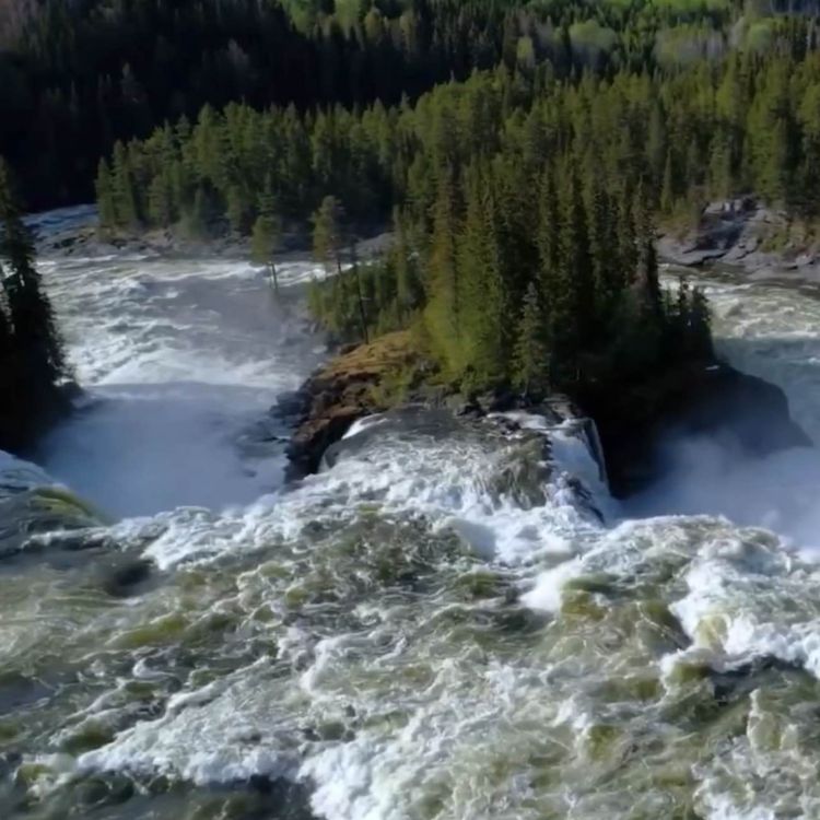 cover art for Die innere Kraft