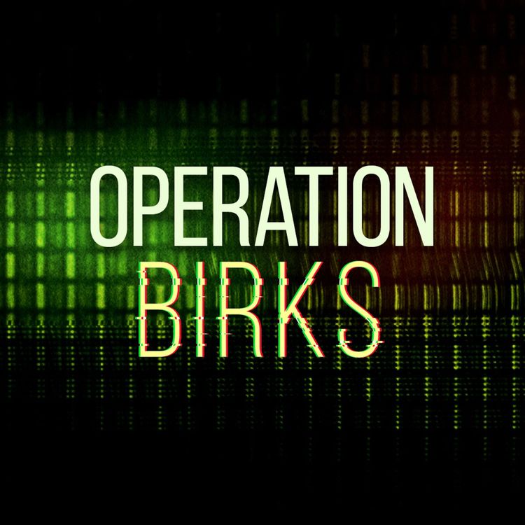 cover art for Operation Birks