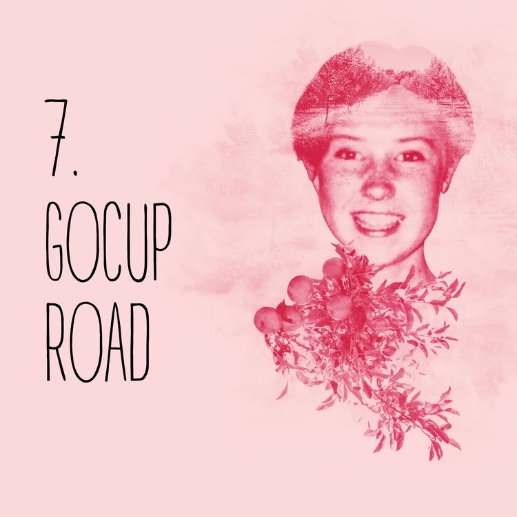cover art for Episode 7: Gocup Road
