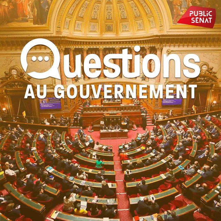 cover art for Questions au Gouvernement du 20 mai 2026