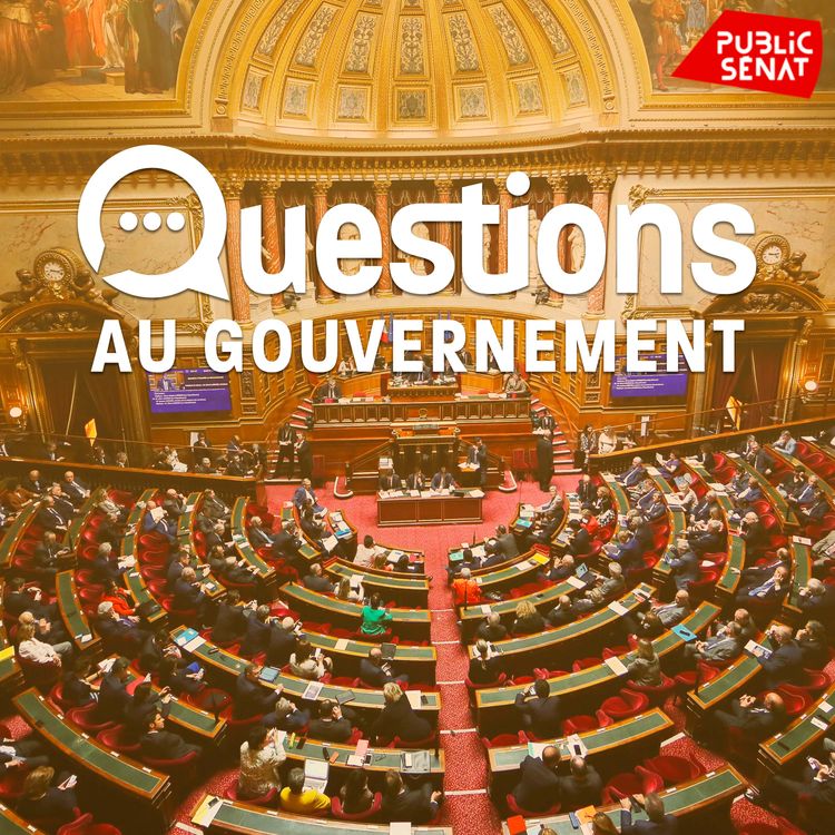cover art for Questions au Gouvernement du 14 mai 