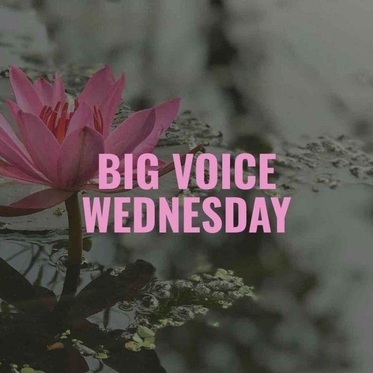 cover art for How One Public Servant Keeps Fighting | Big Voice Wednesday w/Ronda Cress