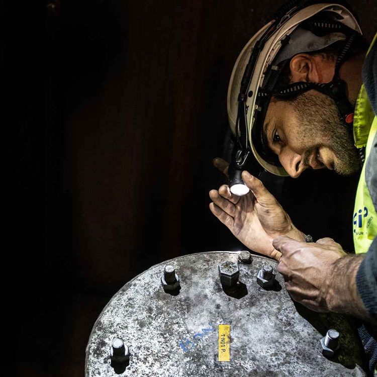 cover art for Un ouvrage vivant