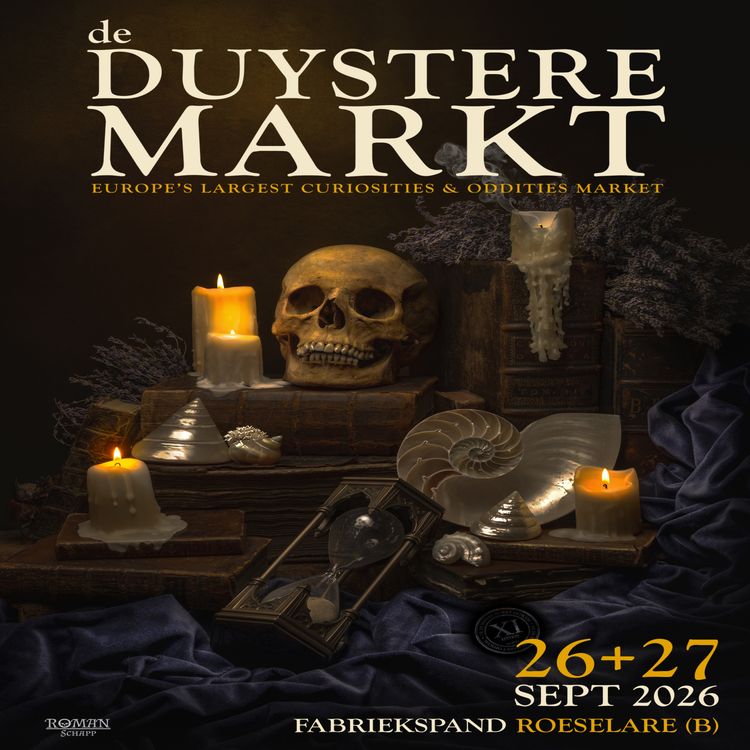 cover art for De Duystere Markt