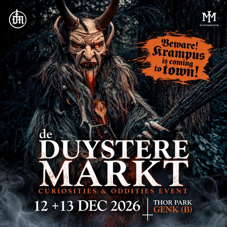 cover art for De Duystere Markt 2026