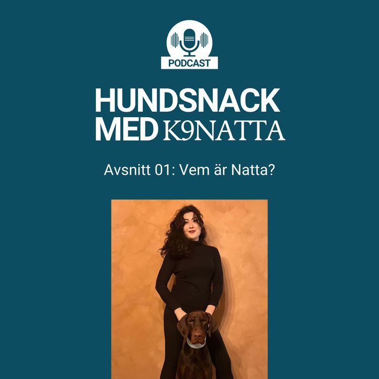 cover art for Vem är Natta?