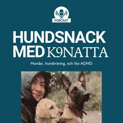 cover art for Hundsnack med K9Natta