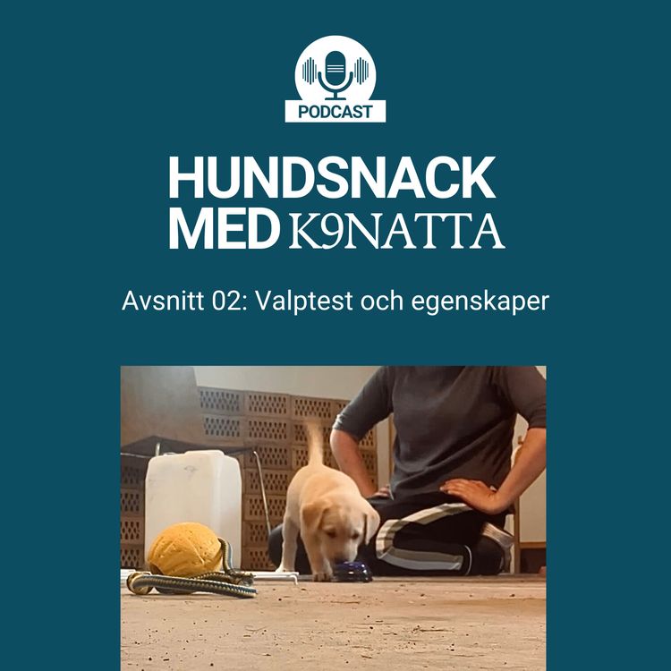 cover art for Valptest