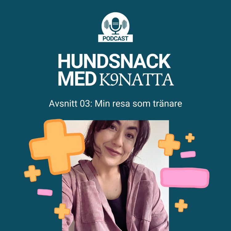 cover art for Min resa som tränare