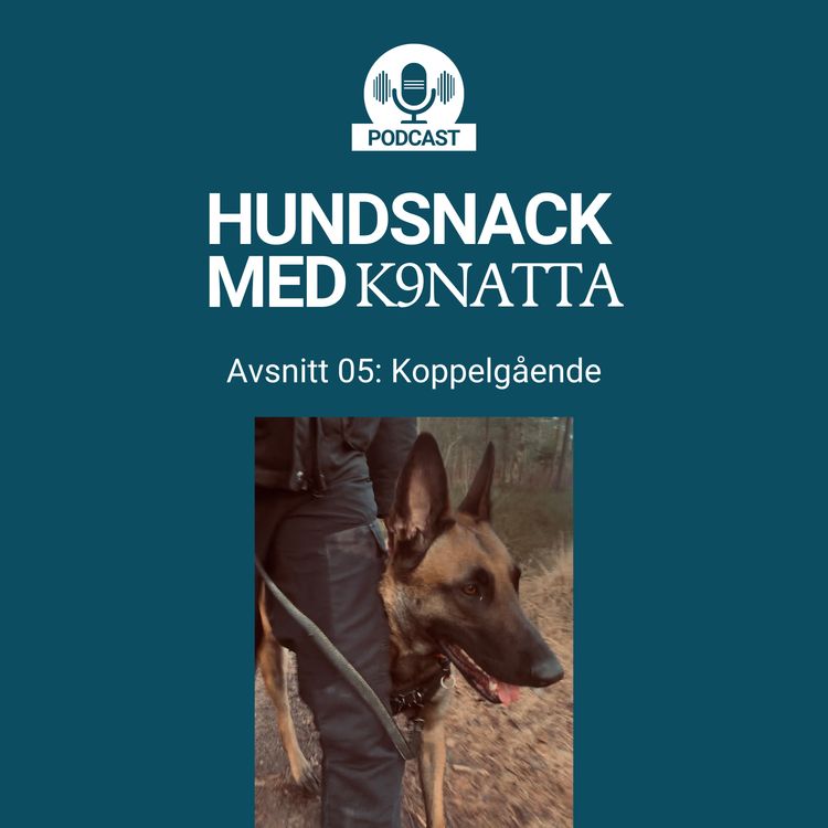 cover art for Koppelgående