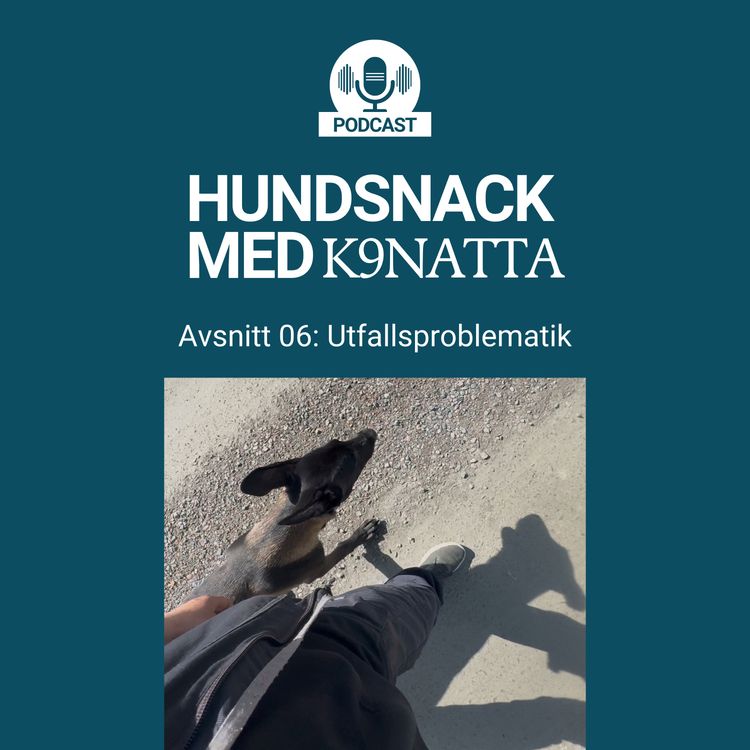 cover art for Utfallsproblematik