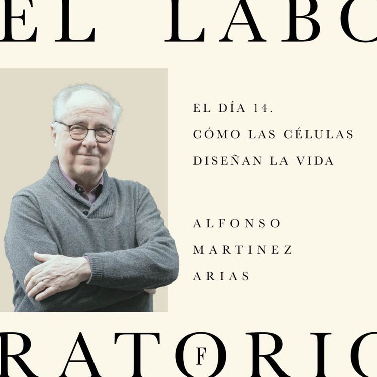 cover art for Episodio 3. El día 14. Cómo las células diseñan la vida