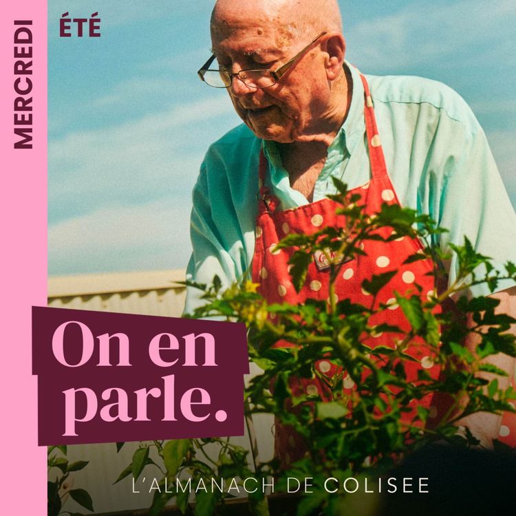 cover art for mercredi 9 juillet St Amandine – l’expression Mener  une vie de bâton de chaise