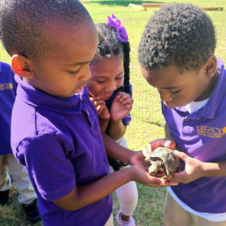 cover art for Dwight Ho-Sang	| Legacy Early College