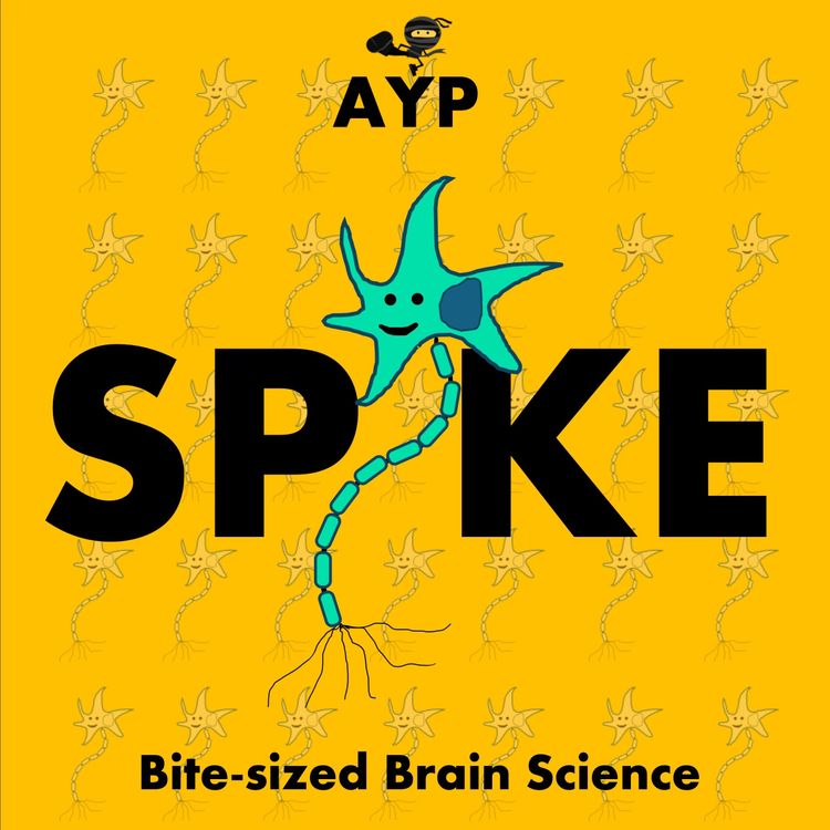 cover art for The brain science of learning (S3 EP7)