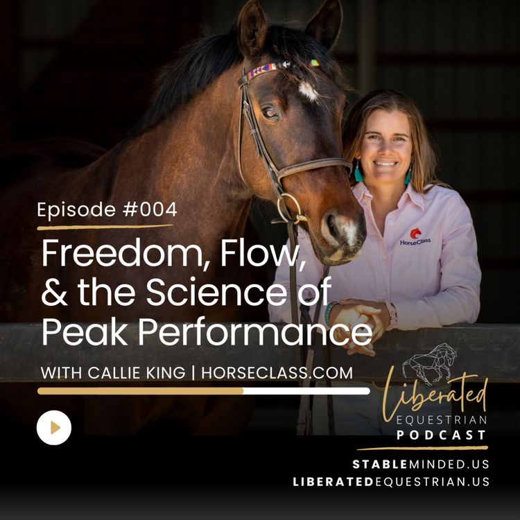 cover art for Freedom, Flow, and the Science of Peak Performance